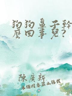 狗狗鼻子干是怎么回事儿?