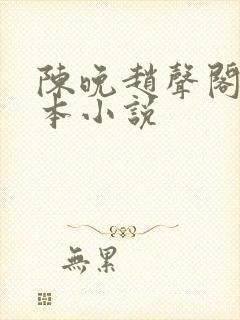 陈晚赵声阁是哪本小说