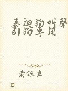 泰迪狗叫声音吸引狗专用