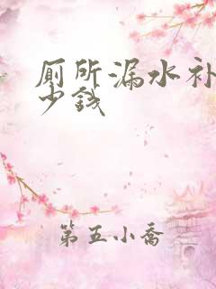 厕所漏水补漏多少钱