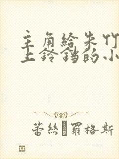 主角给朱竹清戴上铃铛的小说