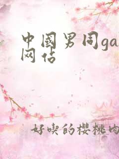 中国男同gay网站