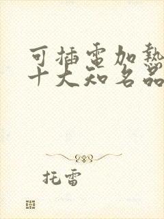 可插电加热饭盒十大知名品牌