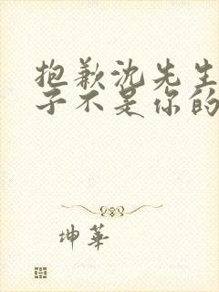 抱歉沈先生,孩子不是你的短剧