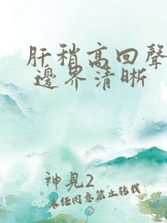 肝稍高回声结节 边界清晰