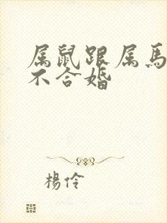 属鼠跟属马的合不合婚