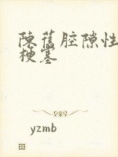 陈旧腔隙性脑内梗塞