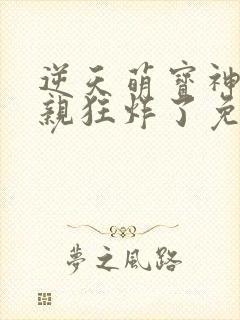 逆天萌宝神医娘亲狂炸了免费阅读