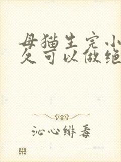 母猫生完小猫多久可以做绝育手术