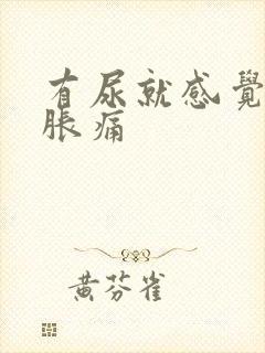 有尿就感觉小腹胀痛