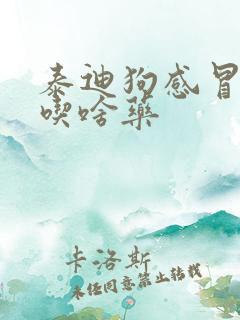 泰迪狗感冒发烧吃啥药