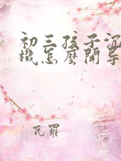 初三孩子沉迷手机怎么开导