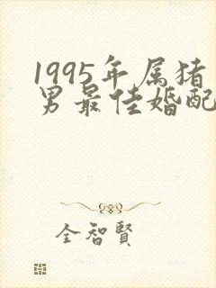 1995年属猪男最佳婚配