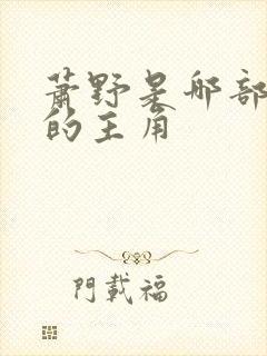 萧野是哪部小说的主角