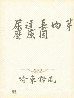 尿道长肉芽是什么原因