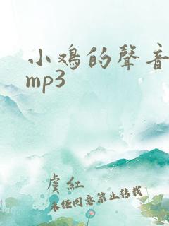 小鸡的声音音效mp3