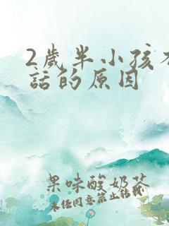 2岁半小孩不说话的原因