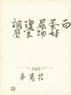 调理尿蛋白吃什么食物好