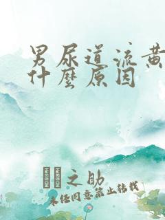 男尿道流黄脓是什么原因