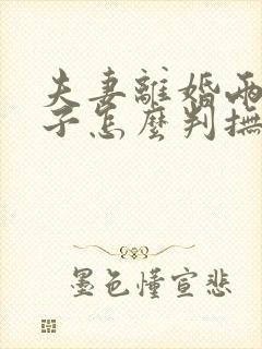 夫妻离婚两个孩子怎么判抚养权