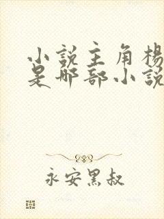 小说主角杨小天是哪部小说里的人物