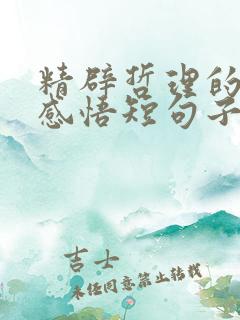 精辟哲理的人生感悟短句子