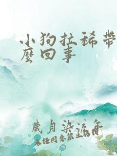 小狗拉稀带血怎么回事