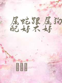 属蛇跟属狗的婚配好不好