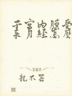 子宫内膜受损不来月经怎么办