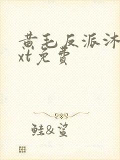 黄毛反派沐恩txt免费