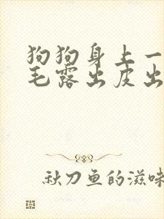 狗狗身上一块掉毛露出皮出血