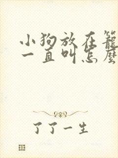 小狗放在笼子里一直叫怎么办