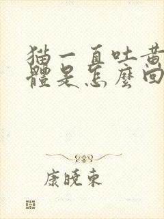 猫一直吐黄色液体是怎么回事