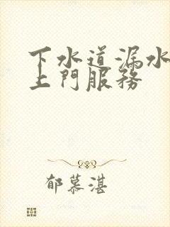 下水道漏水维修上门服务