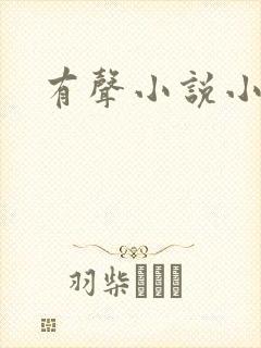 有声小说小仙儿