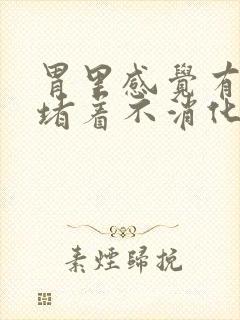 胃里感觉有东西堵着不消化怎么办