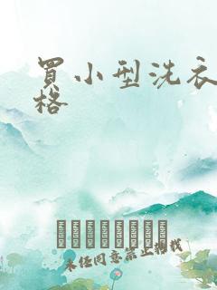 买小型洗衣机价格