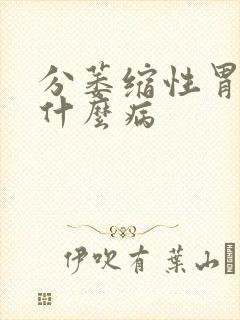 分萎缩性胃炎是什么病