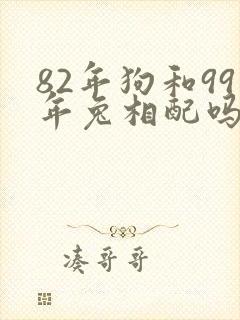 82年狗和99年兔相配吗