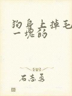 狗身上掉毛一块一块的