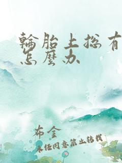 轮胎上总有狗尿怎么办