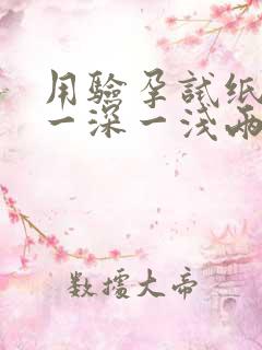 用验孕试纸测出一深一浅两条线