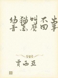 幼猫叫不出来声音怎么回事