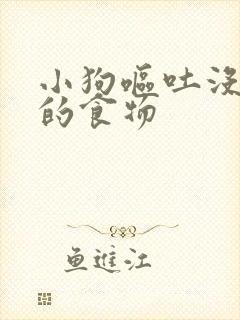 小狗呕吐没消化的食物