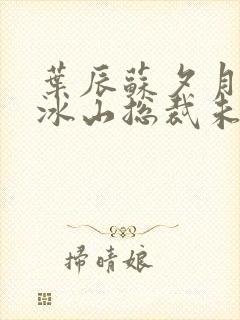 叶辰苏夕月我的冰山总裁未婚妻