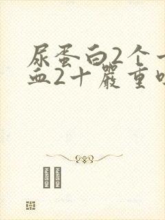 尿蛋白2个十隐血2十严重吗