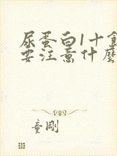 尿蛋白1十饮食要注意什么