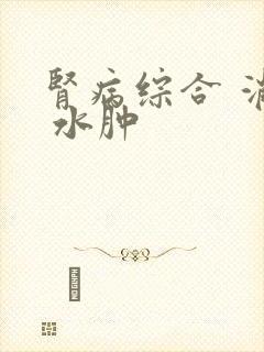 肾病综合 消除 水肿