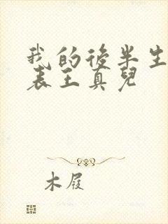 我的后半生演员表王真儿