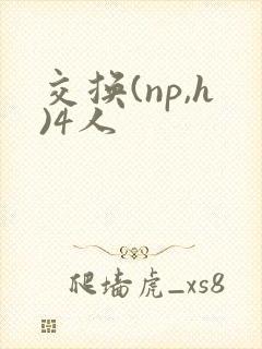 交换(np,h)4人